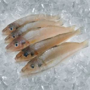 Buy Fresh Lady Fish Online in Ahmedabad