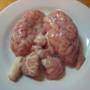 Fresh Mutton Brain